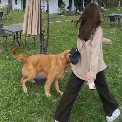 我的鬼女孩