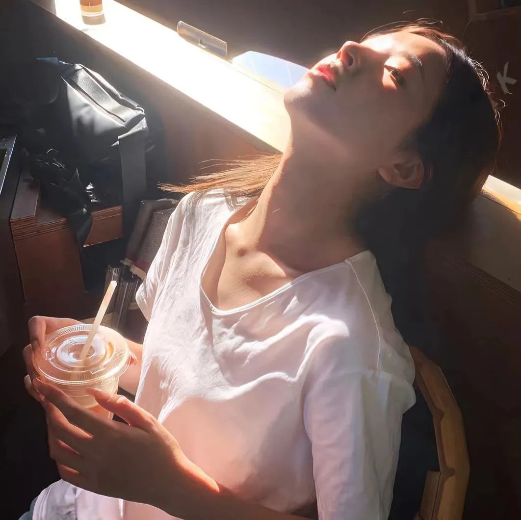 法网追凶