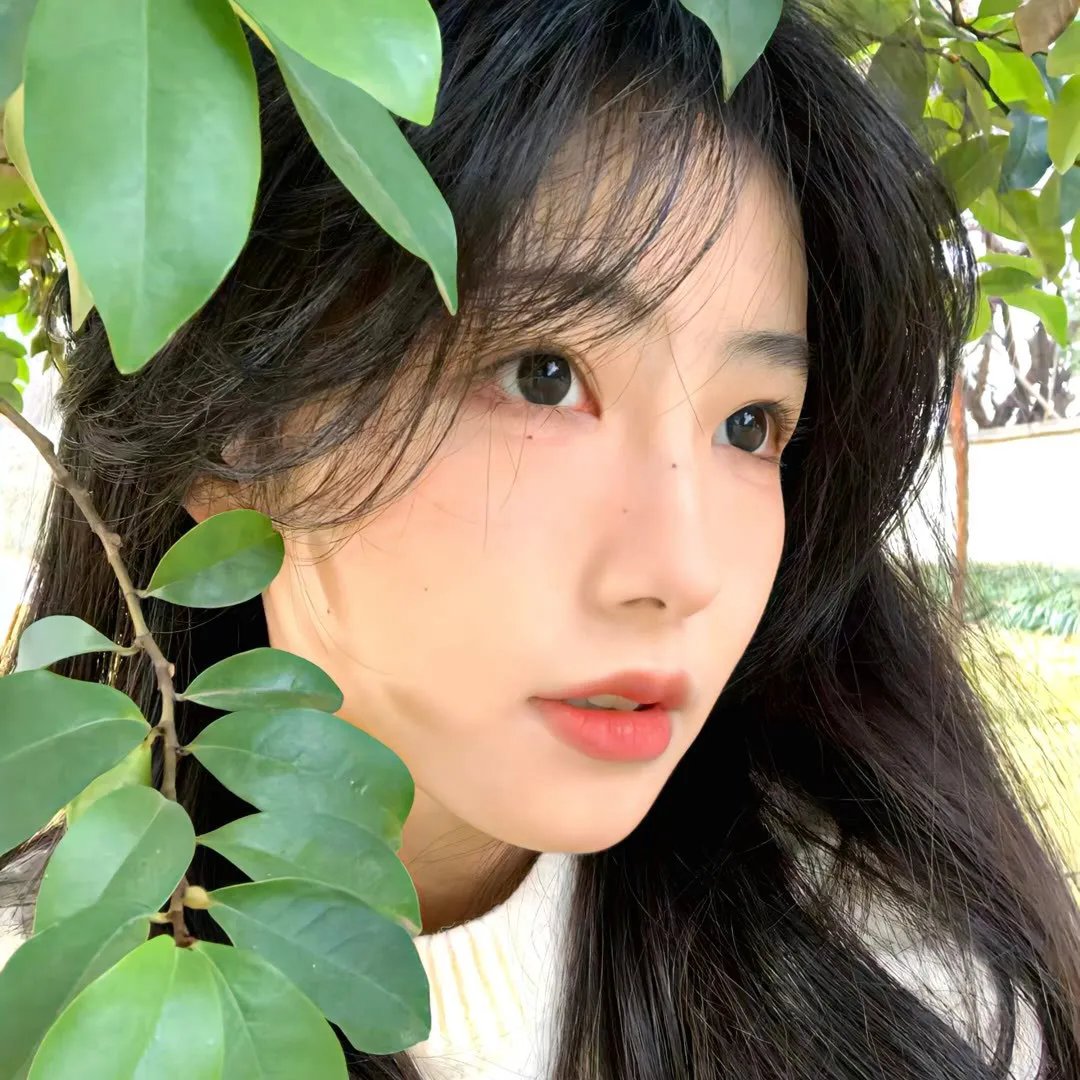 真事信不信